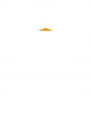 Bluza - Mr Penguin