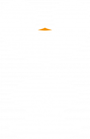 Bluza na zamek - Mr Penguin