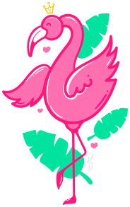 Koszulka - Flamingo