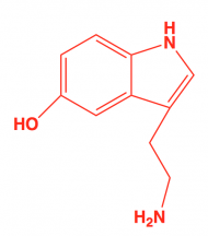 Kubek Serotonina Dopamina