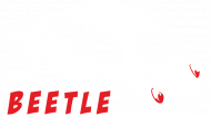 Classic |Bettle