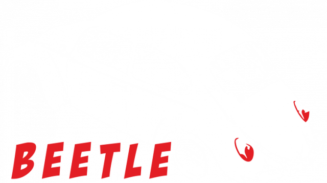 Classic |Bettle