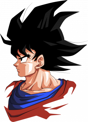 Koszulka Goku