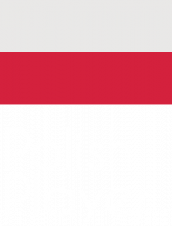 Bluza "Polish Player"