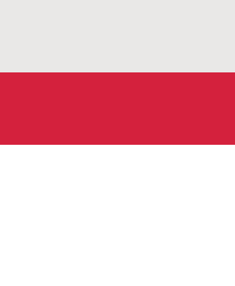 Koszulka "Polish Player"