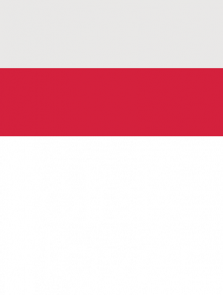 Bluza "Polish Player"