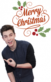 ŚWIĄTECZNY KUBEK - SHAWN MENDES