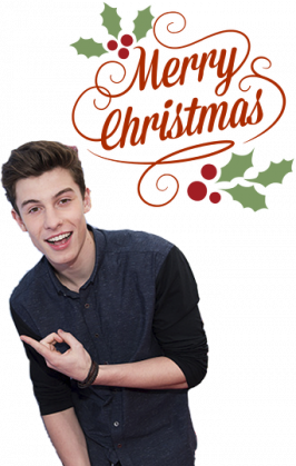 ŚWIĄTECZNY KUBEK - SHAWN MENDES