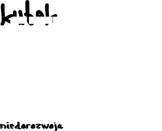 bluza STRAŻNIK TEXASU