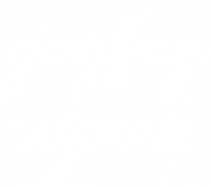 Gryfny Synek / black