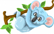 Koszulka Koala