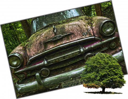 Auto + natura
