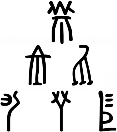 Ekotorba LINEA - White Raven Style