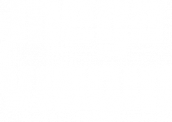 virgin