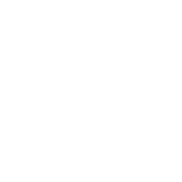 A - koszulka męska (jasne logo)