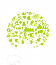 Koszulka Drzewko Moja Małopolska