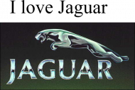 plecak z Jaguarem