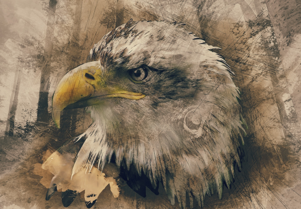 Eagle