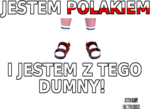 Jestem Polakiem! - koszulka męska