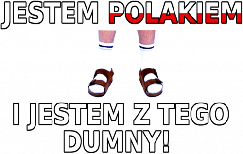 Jestem Polakiem! - Bluza Weekend
