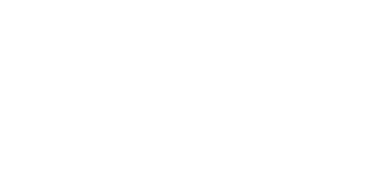 PEEZY - Koszulka Damska