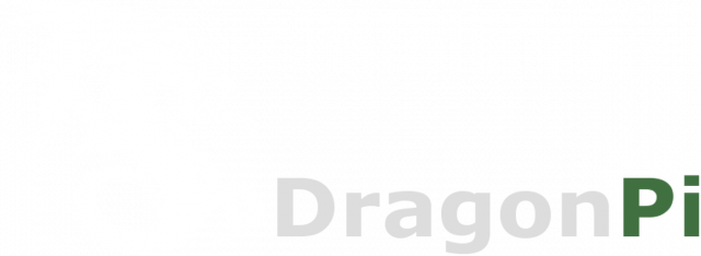 Tshirt Dragonpi