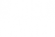 Bluza most wanted