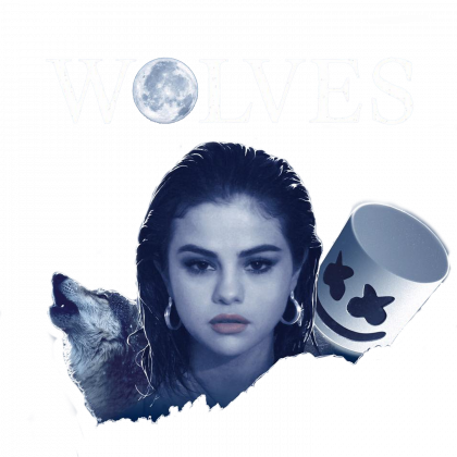 Koszulka męska "Wolves"