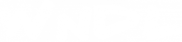 WNDL Official T-Shirt