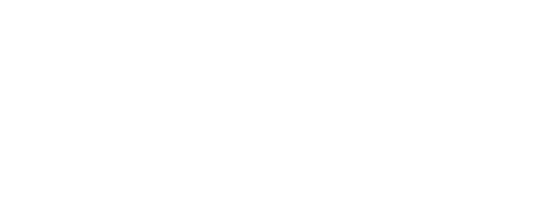 WNDL Official T-Shirt