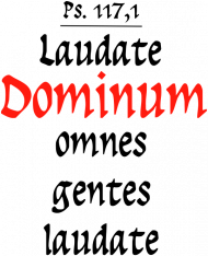 Laudate Dominum, koszulka dziecięca
