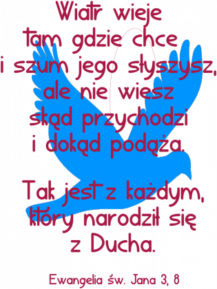 Wiatr, bluza męska