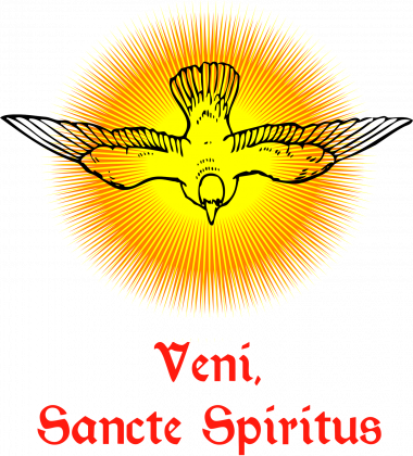 Veni sancte spiritus, koszulka męska