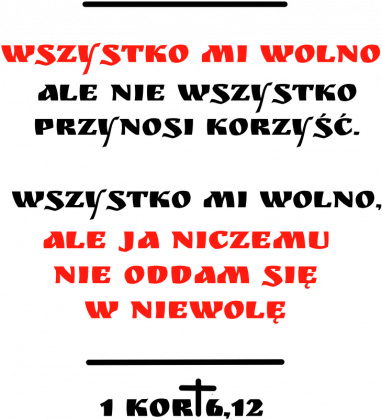 Wszysko mi wolno, bluza męska