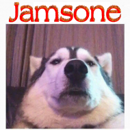 Jamsone square dog logo
