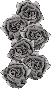 Many Roses - Koszulka Damska
