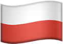 Bluza Team Poland | Biały