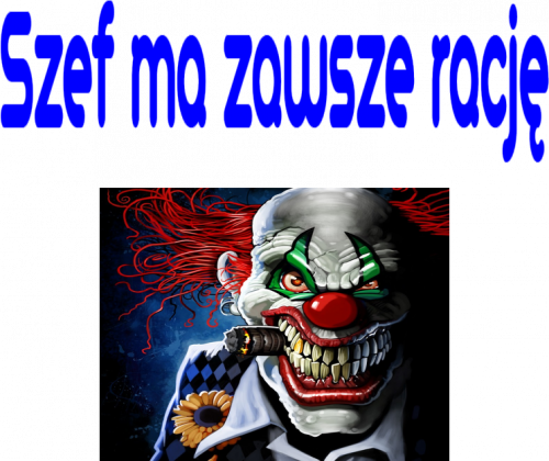 szef ma