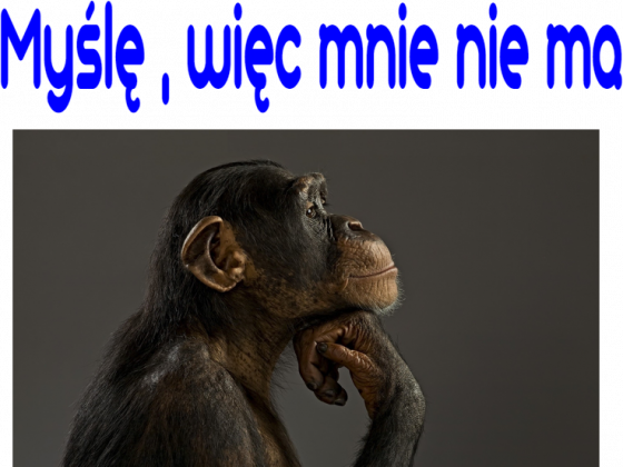 myślę, więc