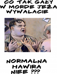 Co tak gały w morde jeża wywalacie, normalna hawira nie 2