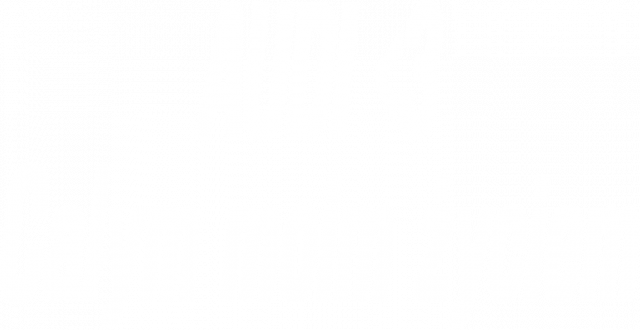 Fan Audi