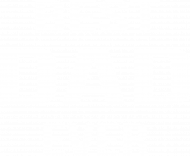 Koszulka - BEST DAD EVER