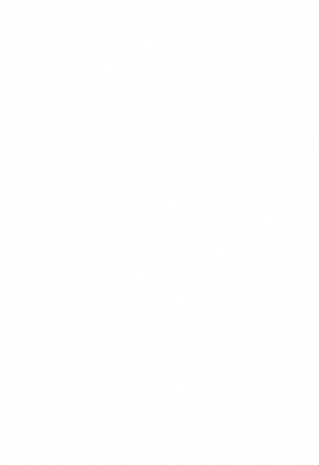 Koszulka sportowa -  KING 01