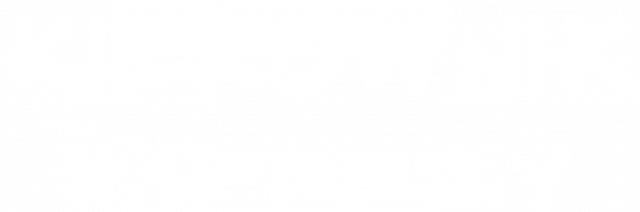 Koszulka - KIEROWNIK IMPREZY