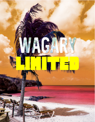 Wagary Limited Kubek