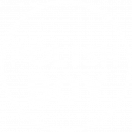 Koszulka Polish Boy