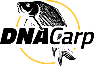 Bluza DNA Carp white