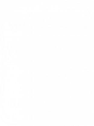 Dyrektor Bushcraftu