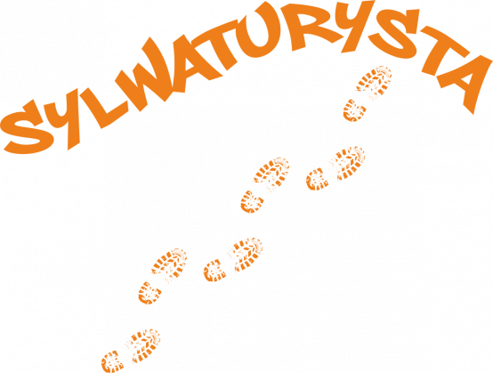 Sylwaturysta - not just bushcrafter