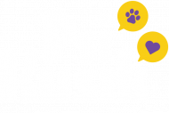Psi Kusik - RÓŻNE KOLORY chłopięca